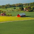 a green field with a red barn and a lake in the background