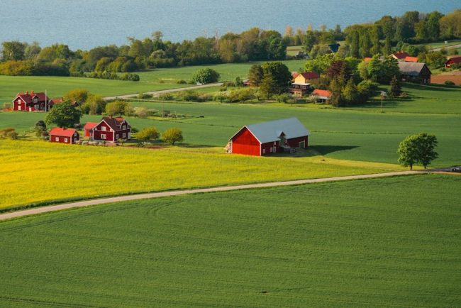 a green field with a red barn and a lake in the background